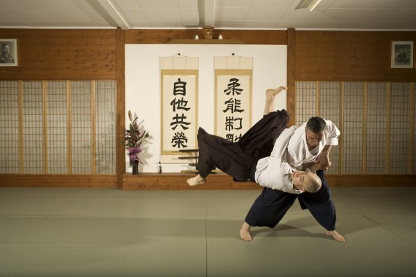 Le Daïto Ryu Aïki Jujutsu